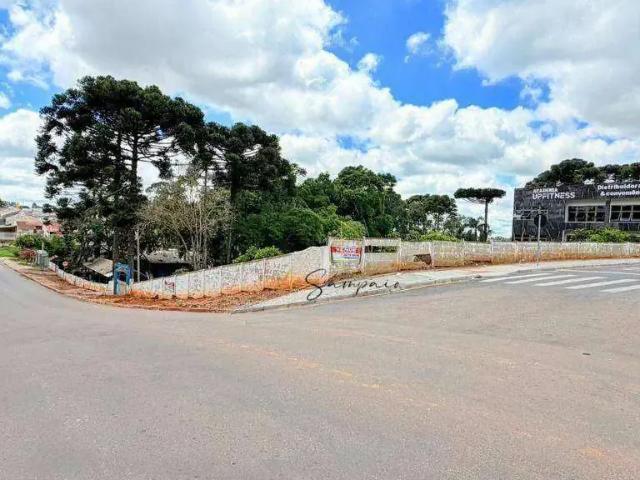 Terreno / Lote para Venda em Fazenda Rio Grande/PR Estados