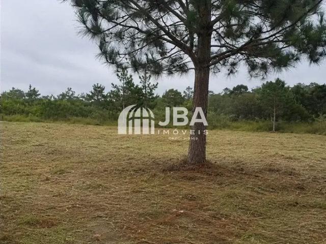 Terreno / Lote para Venda em Fazenda Rio Grande/PR Estados