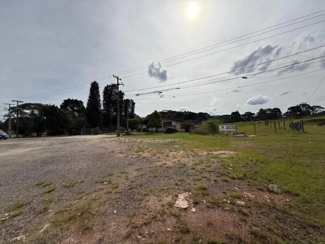 Terreno / Lote para Venda em Fazenda Rio Grande/PR Estados