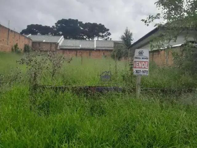 Terreno / Lote para Venda em Fazenda Rio Grande/PR Estados