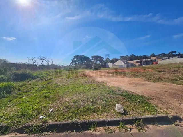 Terreno / Lote para Venda em Fazenda Rio Grande/PR Eucaliptos