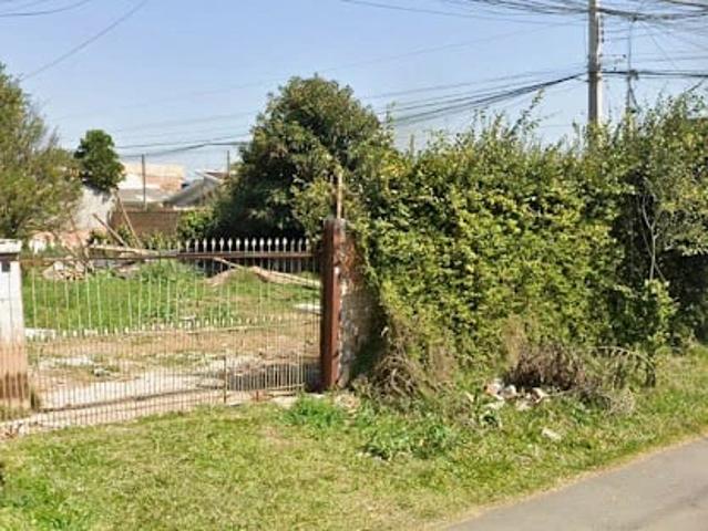 Terreno / Lote para Venda em Fazenda Rio Grande/PR Eucaliptos