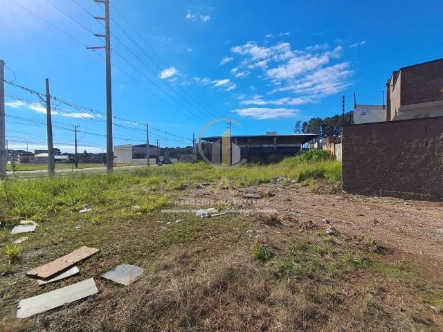 Terreno / Lote para Venda em Fazenda Rio Grande/PR Eucaliptos