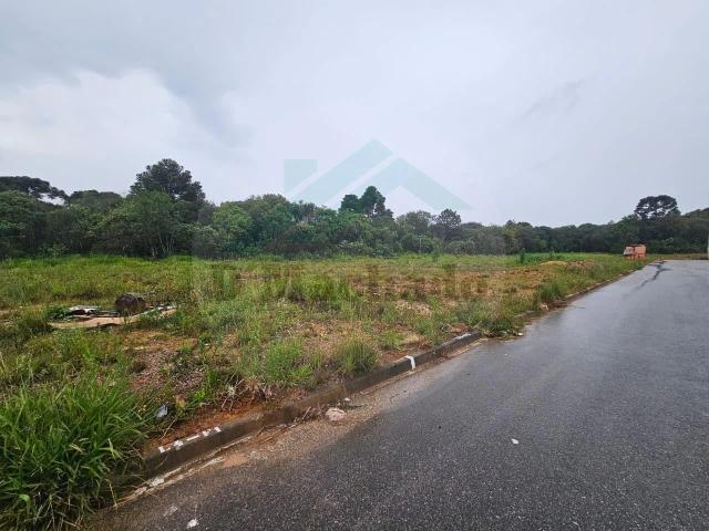 Terreno / Lote para Venda em Fazenda Rio Grande/PR Eucaliptos
