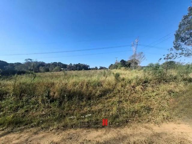 Terreno / Lote para Venda em Fazenda Rio Grande/PR Eucaliptos
