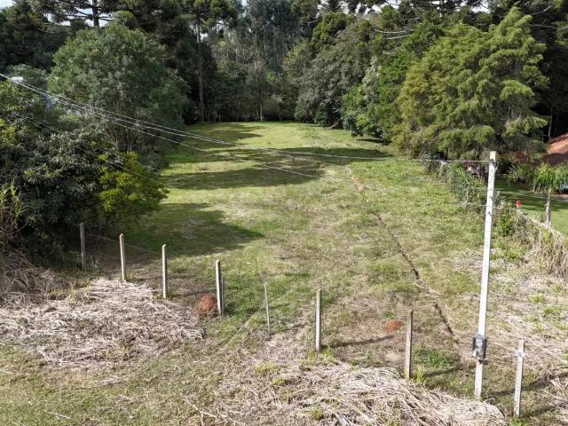 Terreno / Lote para Venda em Fazenda Rio Grande/PR Eucaliptos