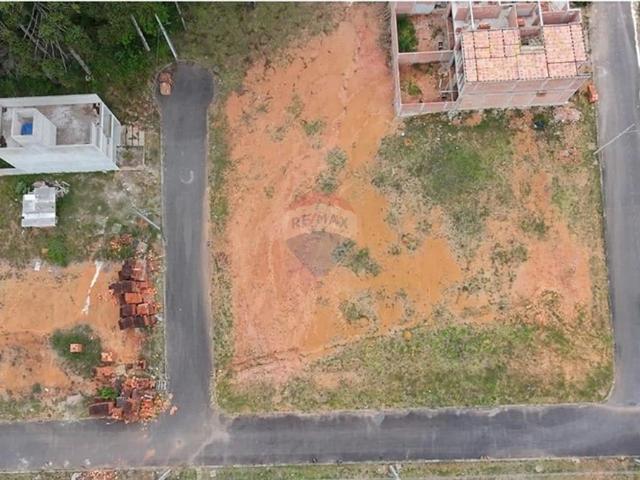 Terreno / Lote para Venda em Fazenda Rio Grande/PR Gralha Azul