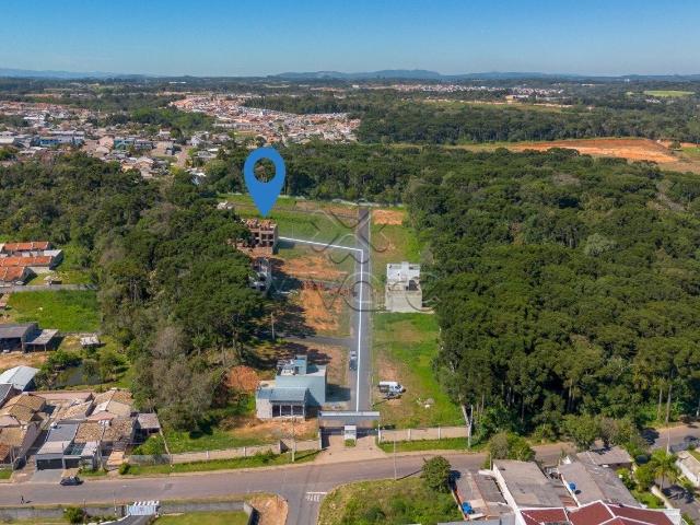 Terreno / Lote para Venda em Fazenda Rio Grande/PR Gralha Azul