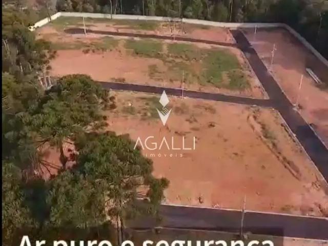 Terreno / Lote para Venda em Fazenda Rio Grande/PR Gralha Azul