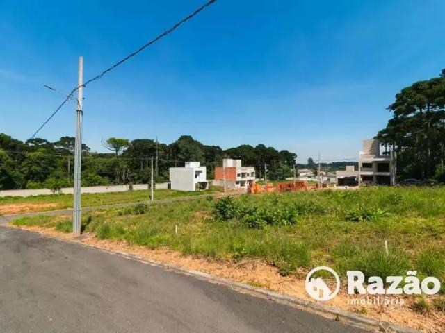 Terreno / Lote para Venda em Fazenda Rio Grande/PR Gralha Azul