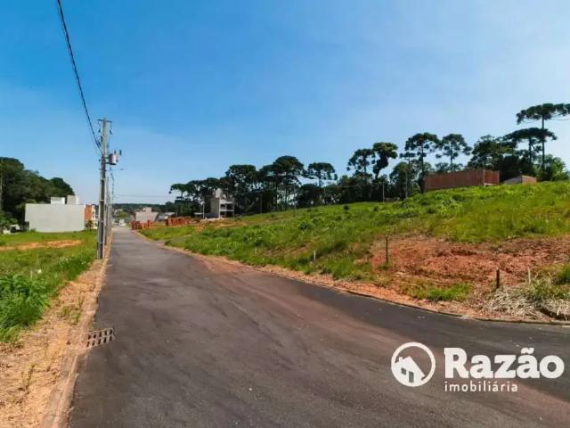 Terreno / Lote para Venda em Fazenda Rio Grande/PR Gralha Azul