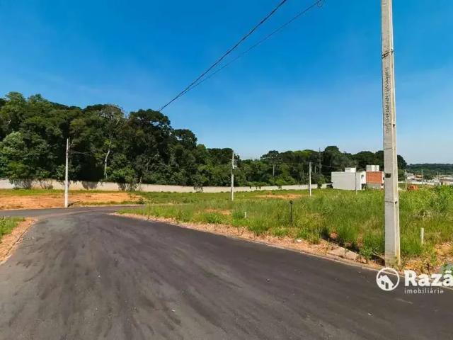 Terreno / Lote para Venda em Fazenda Rio Grande/PR Gralha Azul