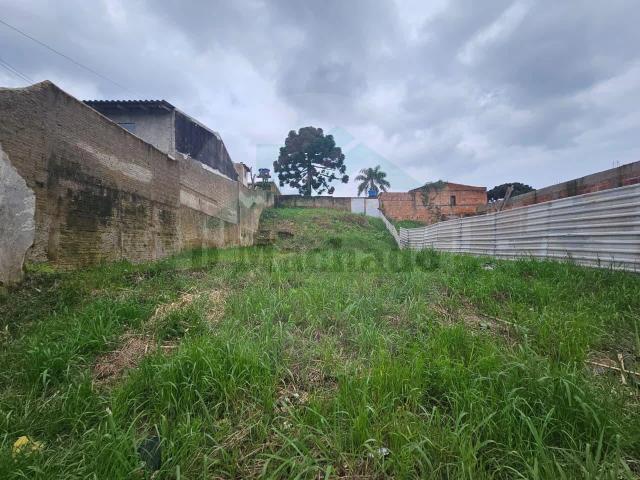 Terreno / Lote para Venda em Fazenda Rio Grande/PR Gralha Azul