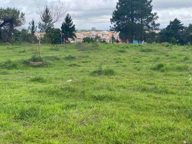 Terreno / Lote para Venda em Fazenda Rio Grande/PR Nações
