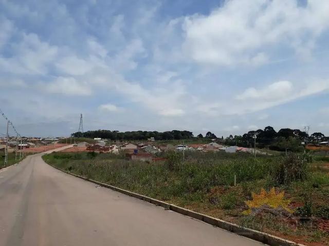 Terreno / Lote para Venda em Fazenda Rio Grande/PR Nações