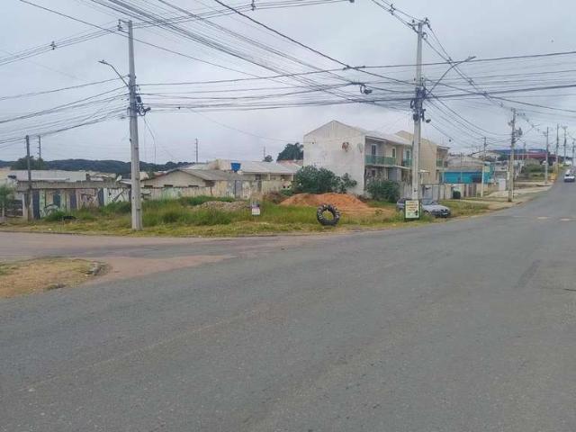Terreno / Lote para Venda em Fazenda Rio Grande/PR Santa Terezinha