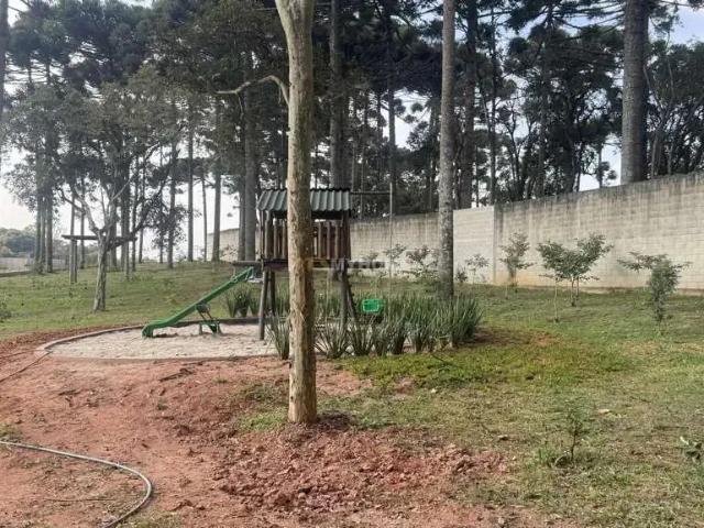 Terreno / Lote para Venda em Fazenda Rio Grande/PR Santa Terezinha