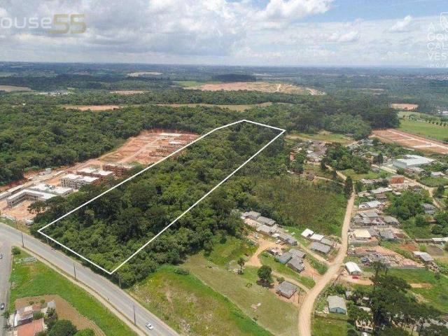 Terreno / Lote para Venda em Fazenda Rio Grande/PR Santa Terezinha