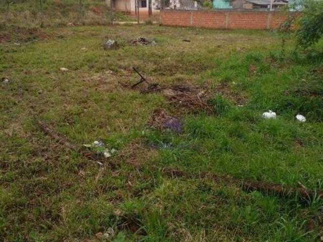 Terreno / Lote para Venda em Fazenda Rio Grande/PR Santa Terezinha