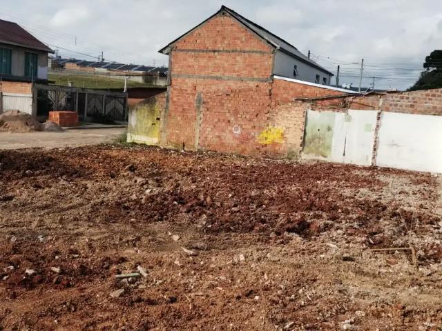 Terreno / Lote para Venda em Fazenda Rio Grande/PR Santa Terezinha