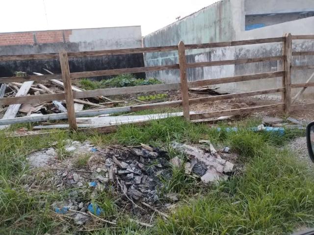 Terreno / Lote para Venda em Fazenda Rio Grande/PR Santa Terezinha