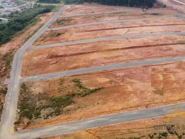 Terreno / Lote para Venda em Fazenda Rio Grande/PR Santa Terezinha