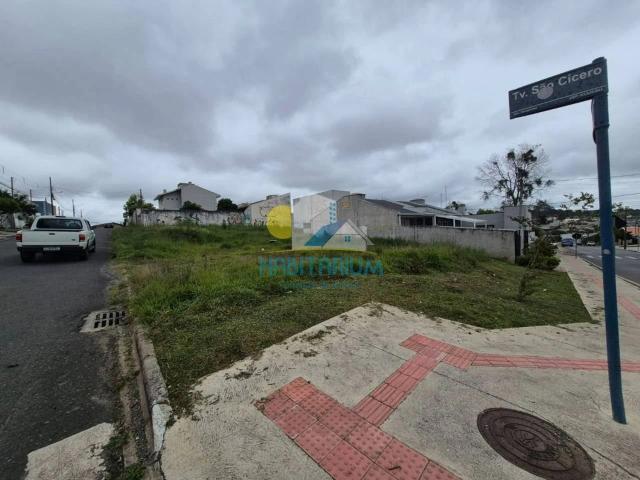 Terreno / Lote para Venda em Fazenda Rio Grande/PR Santa Terezinha