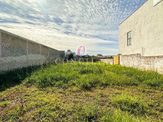 Terreno / Lote para Venda em Fazenda Rio Grande/PR Santa Terezinha