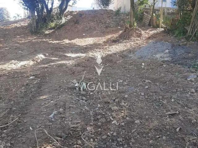 Terreno / Lote para Venda em Fazenda Rio Grande/PR Santa Terezinha