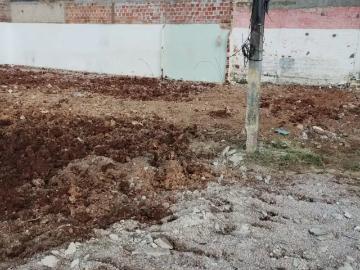 Terreno / Lote para Venda em Fazenda Rio Grande/PR Santa Terezinha