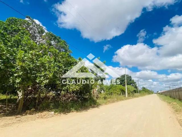 Terreno / Lote para Venda em Feira de Santana/BA Conceição