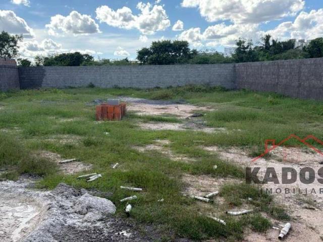 Terreno / Lote para Venda em Feira de Santana/BA Conceição