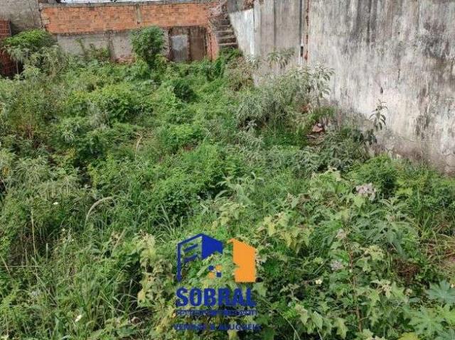 Terreno / Lote para Venda em Feira de Santana/BA Conceição