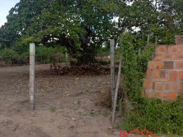 Terreno / Lote para Venda em Feira de Santana/BA Centro