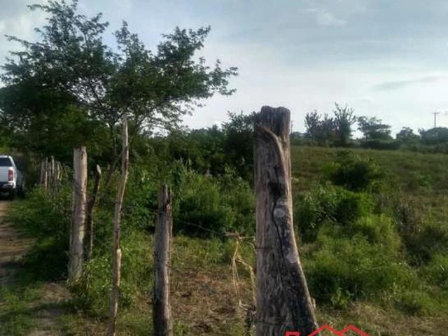 Terreno / Lote para Venda em Feira de Santana/BA CIS