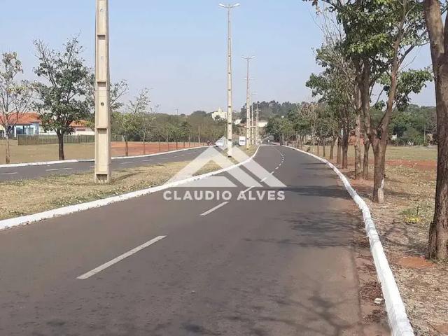 Terreno / Lote para Venda em Feira de Santana/BA Asa Branca