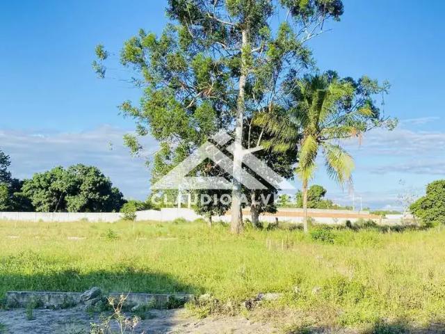 Terreno / Lote para Venda em Feira de Santana/BA Asa Branca