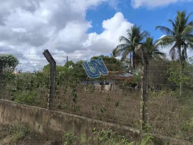 Terreno / Lote para Venda em Feira de Santana/BA Jaíba