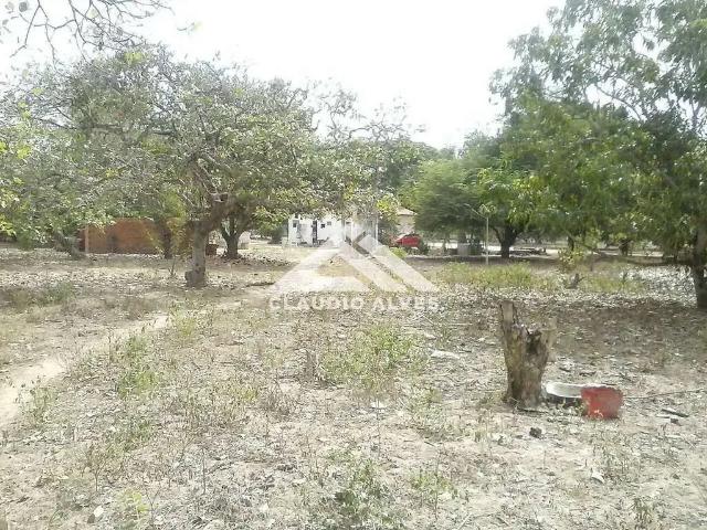 Terreno / Lote para Venda em Feira de Santana/BA Jaíba