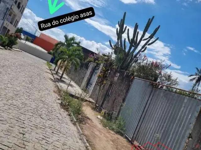 Terreno / Lote para Venda em Feira de Santana/BA Lagoa Salgada