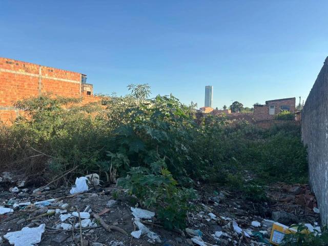 Terreno / Lote para Venda em Feira de Santana/BA Mangabeira