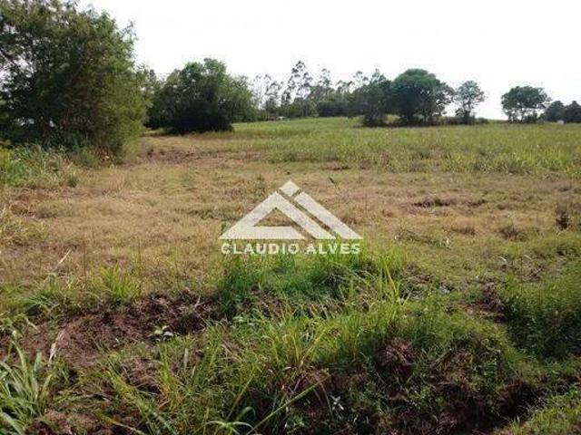 Terreno / Lote para Venda em Feira de Santana/BA Maria Quitéria