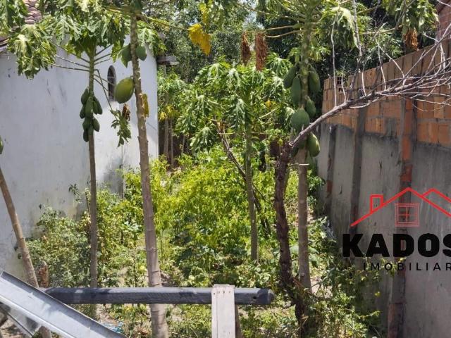 Terreno / Lote para Venda em Feira de Santana/BA Muchila