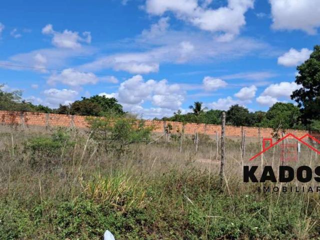 Terreno / Lote para Venda em Feira de Santana/BA São João