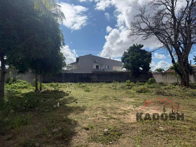 Terreno / Lote para Venda em Feira de Santana/BA Sim