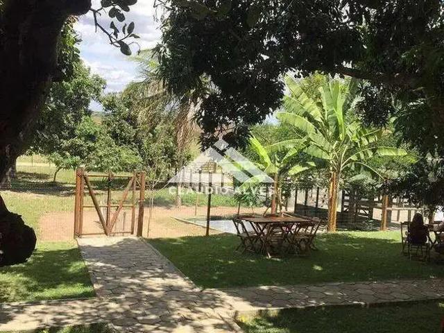 Terreno / Lote para Venda em Feira de Santana/BA Papagaio