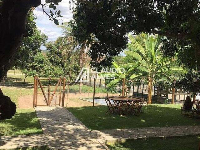 Terreno / Lote para Venda em Feira de Santana/BA Papagaio