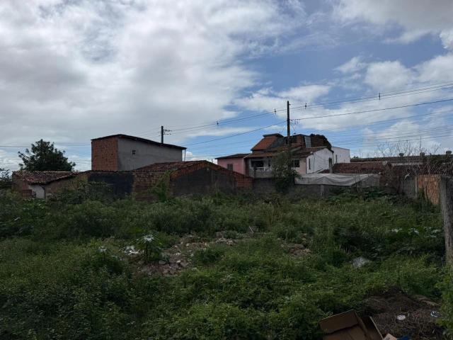 Terreno / Lote para Venda em Feira de Santana/BA Tomba