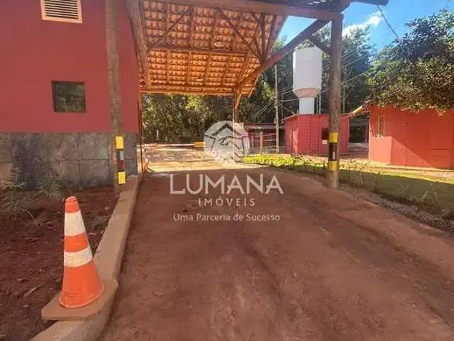Terreno / Lote para Venda em Felixlândia/MG Lago Dos Cisnes