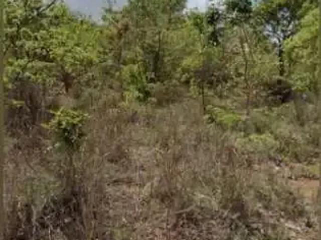 Terreno / Lote para Venda em Felixlândia/MG Zona Rural
